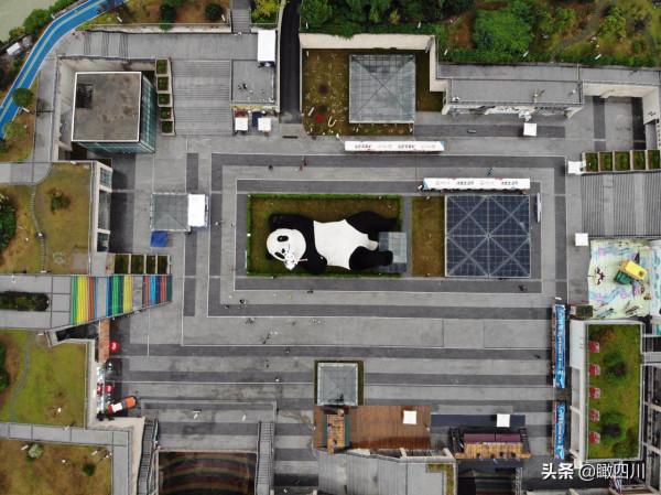 “大黃鴨之父”在中國建了座全球最重大熊貓雕塑:130噸重26米長 “大黃鴨之父”在中國建了座全球最重大熊貓雕塑:130噸重26米長