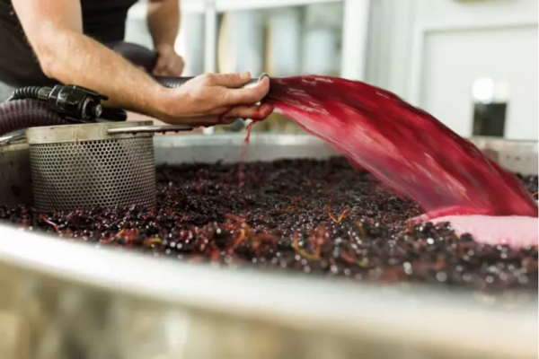 從濱海勝地到舒適山區,4個絕佳目的地開啟大溫短途車程之旅 從濱海勝地到舒適山區,4個絕佳目的地開啟大溫短途車程之旅