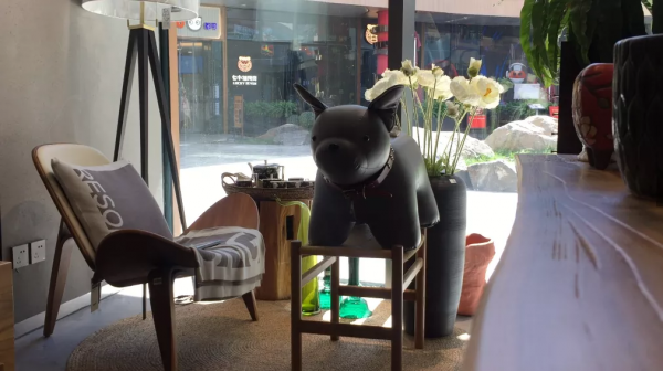 海淀北部這個超文藝的打卡地,藏不住了! 海淀北部這個超文藝的打卡地,藏不住了!