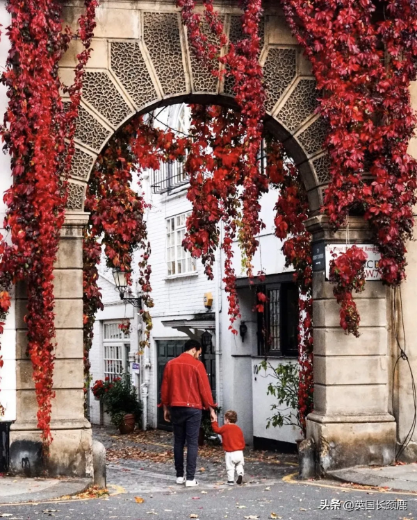 你還記得深秋英國的樣子嗎?若你還在,與你共享 你還記得深秋英國的樣子嗎?若你還在,與你共享