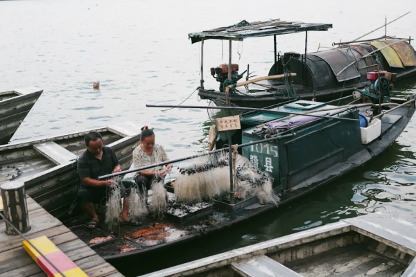 傍晚的贛州古浮橋，是我今年看過最美的畫面