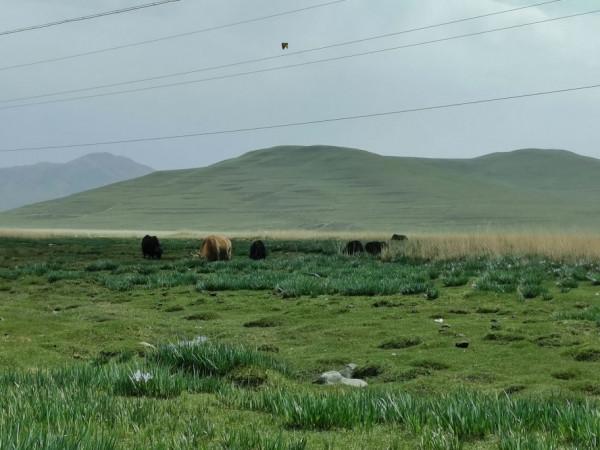 甘南十天行遊記
