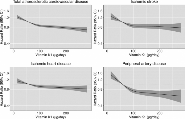越來越多的證據表明維生素K可以降低患心血管疾病風險