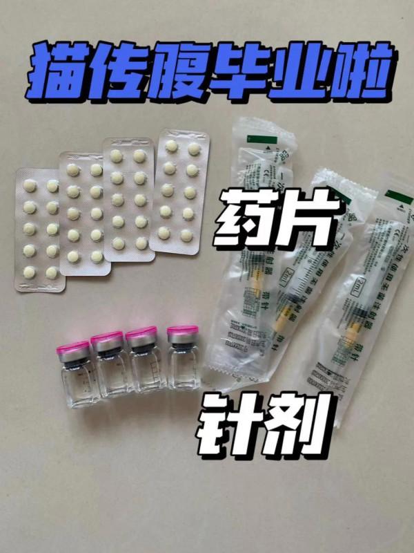 貓傳腹畢業啦 貓傳腹畢業啦