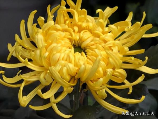 這個世界歷史中的王朝歷經2680年,傳承了126位皇帝,至今仍存在 這個世界歷史中的王朝歷經2680年,傳承了126位皇帝,至今仍存在