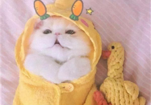 “搞錢”能力很強的星座，贏在性格，勝在勤快上