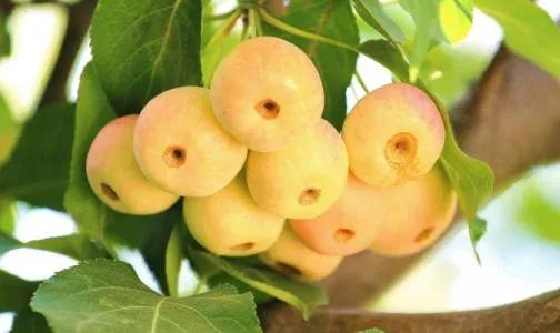 摩羯座2022年1月運勢 摩羯座2022年1月運勢