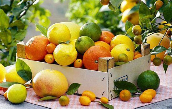 如何判斷某種水果適不適合老人吃？