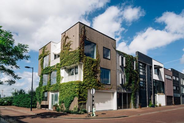 房產證上千萬不要寫夫妻兩人的名字，現在知道也不晚