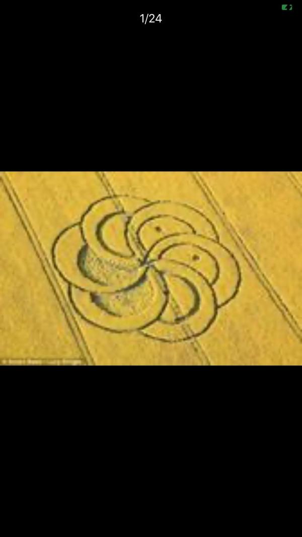 中國還沒有麥田怪圈