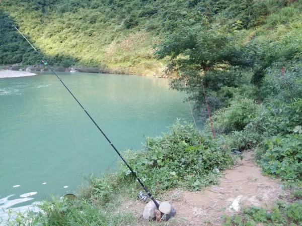 野釣露營，青山綠水