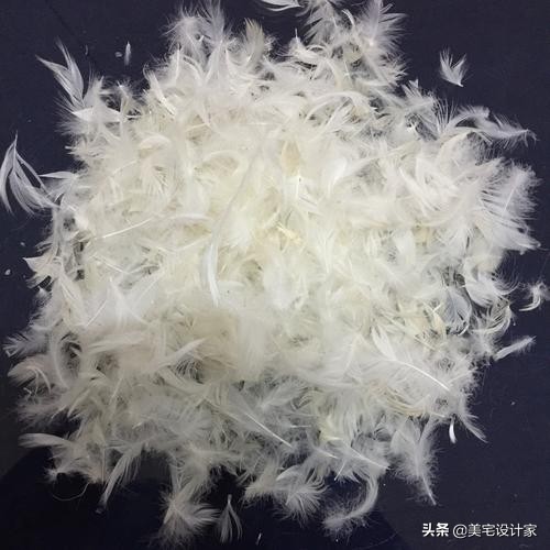 買沙發怎麼問,才會顯得很專業。不會被坑 買沙發怎麼問,才會顯得很專業。不會被坑