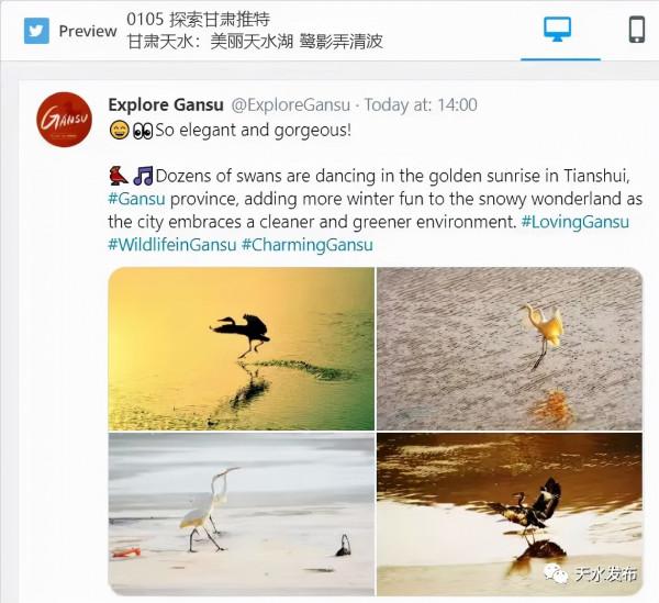 甘肅推特丨美麗天水湖 鷺影弄清波