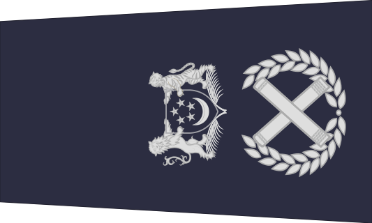 新加坡警銜標識