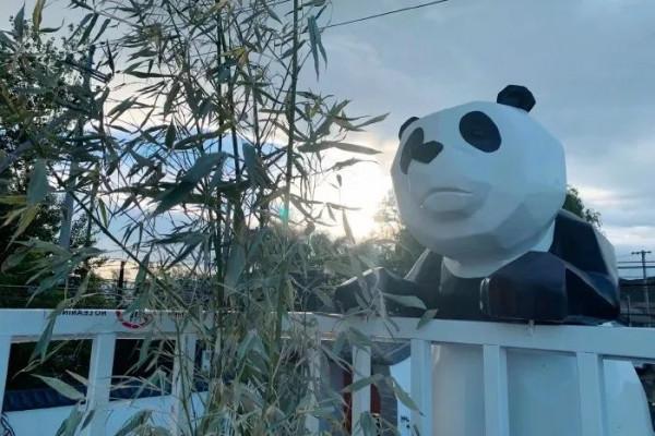 花房小院相映成趣，充滿童心ins風の親子民宿