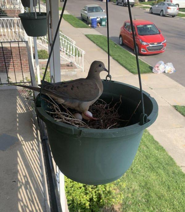45張照片！讓你看到驚奇無比，難以想象的神奇的大自然