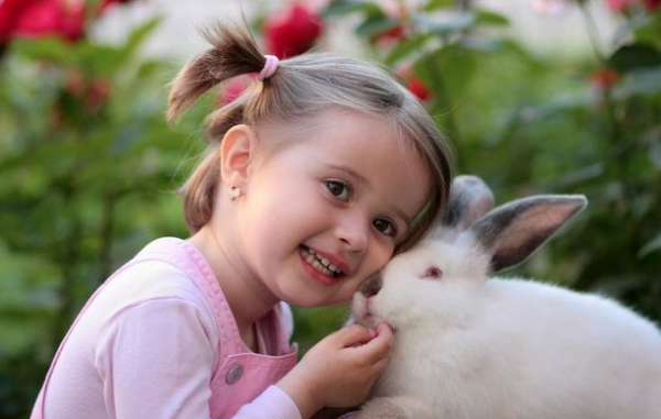 8畝地建小動物農場僅憑2招變網紅打卡地，門票20餵動物10元，啥樣