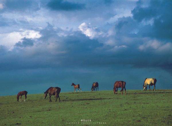陳淮：河西走廊