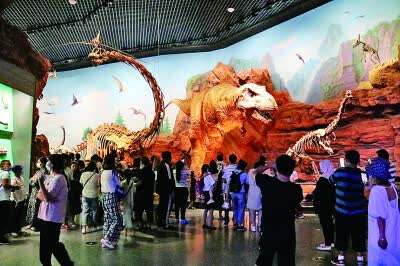 在自然博物館，觸控生態永珍的廣闊與美好