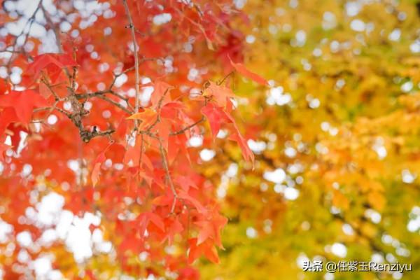 北京通州區有幾座免費公園，環境好面積大，可賞大運河兩岸美景