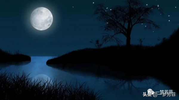 「一夢芳菲」中秋,濃濃的相思,淡淡的情愁 「一夢芳菲」中秋,濃濃的相思,淡淡的情愁