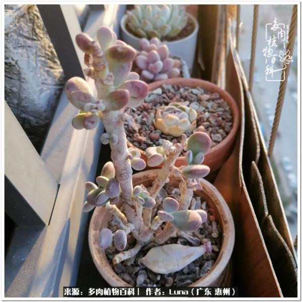 學會和解:與自己、與他人、與世界 學會和解:與自己、與他人、與世界