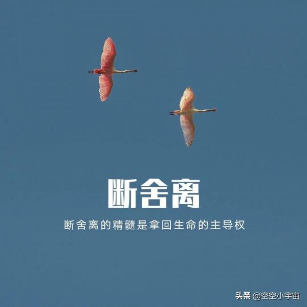 一個極簡主義者的成長曆程