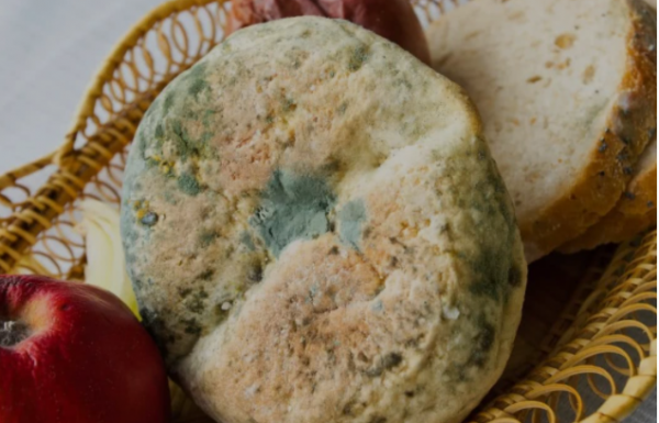 隔夜菜不能吃嗎?醫生解釋:除了這4種,其他或可放心吃 隔夜菜不能吃嗎?醫生解釋:除了這4種,其他或可放心吃