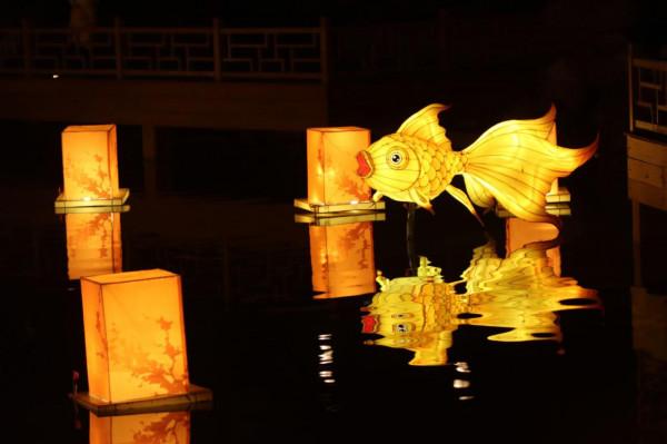 大唐芙蓉園這麼美的花燈，你確定不來嗎？