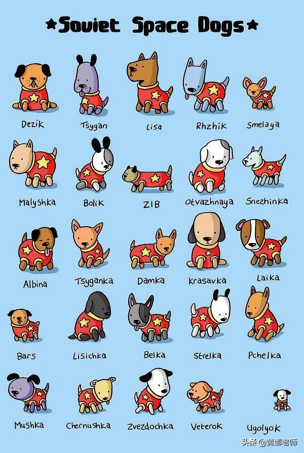 太空中，宇航員真的能隨便用鉛筆嗎？別被“段子”誤導