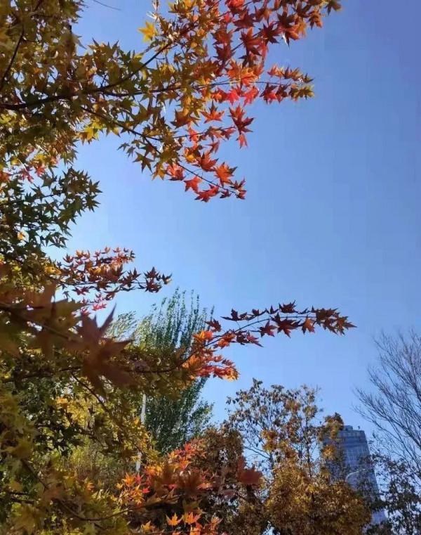 原創 | 秋日的私語-III故事集錦