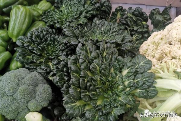 漫談起源於中國的蔬菜