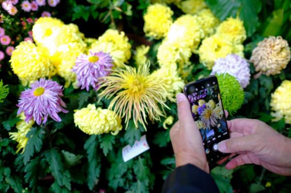 五彩斑斕！嘉定這裡美成這樣，還不快來