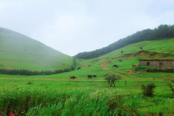 隱藏在湖南的大草原，被稱“北江之源的一滴眼淚”，距市區60公里