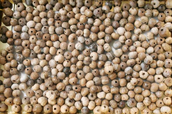 俗稱“來尿珠”，兒時用它做門簾子，還記得嗎？現在的價值可不低