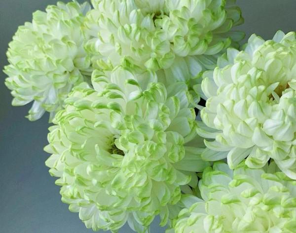 《道德經》真正的明白人，尊重他人，不掌控，不要求，不干涉他人