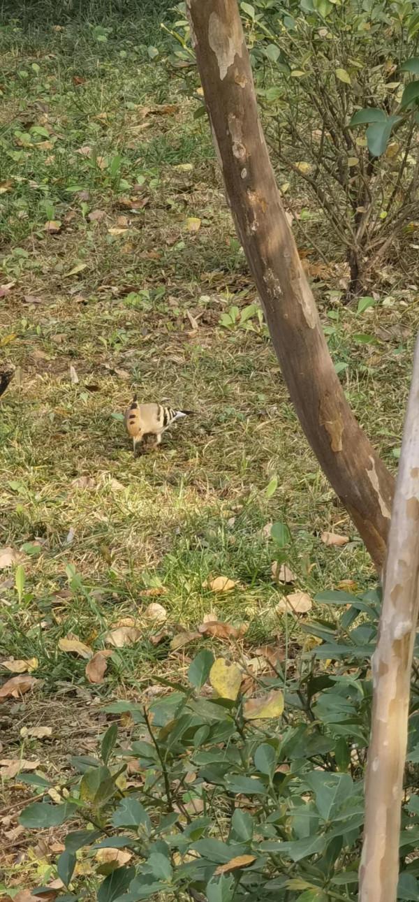 北方的秋天絢麗多彩