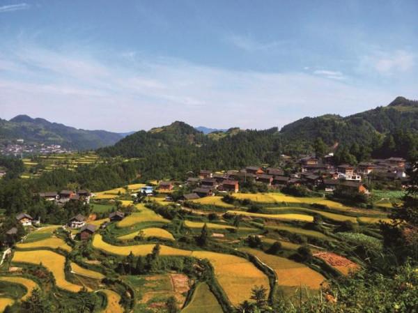 龍塘蝶變一年間:從故鄉到家鄉 龍塘蝶變一年間:從故鄉到家鄉