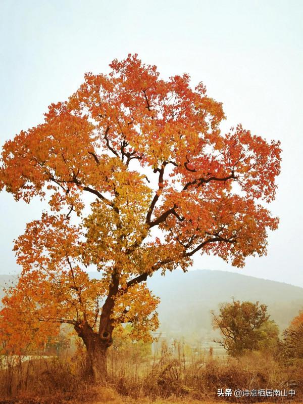 濾鏡美景正在成為騙你沒商量的公害,對比看看我的兩種照片 濾鏡美景正在成為騙你沒商量的公害,對比看看我的兩種照片