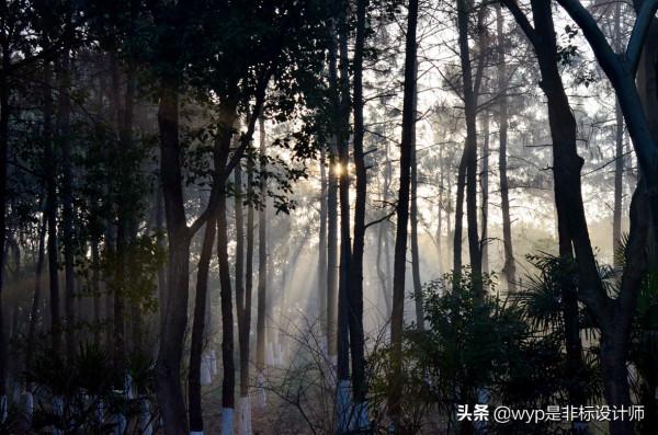 神聖的丁達爾效應——耶穌光