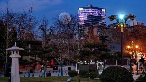 戲作大雁塔月圓夜小賦「嚴建設」 戲作大雁塔月圓夜小賦「嚴建設」