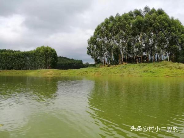 影響釣魚的10大因素