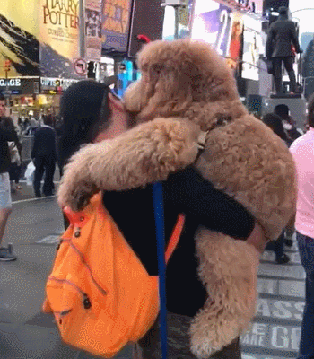 狗界“最燒錢”的幾種狗,哈士奇還不算最恐怖的? 狗界“最燒錢”的幾種狗,哈士奇還不算最恐怖的?