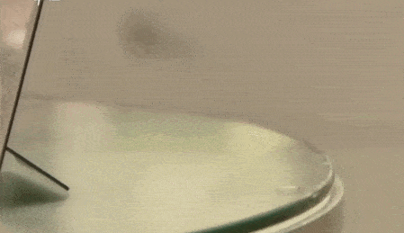 從白富美到影后，她的人生其實和“白富美”沒啥關係？