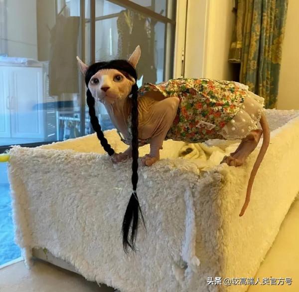 武林外傳的臺詞有多絕？細品全是人生哲學