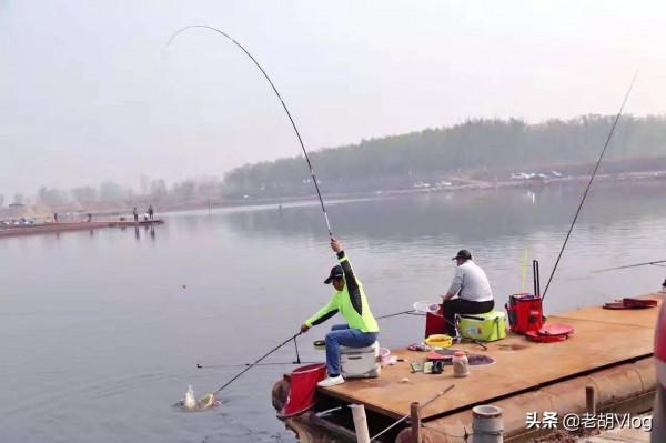冬季野釣大鯉魚,不妨試試這兩個位置,大鯉魚多半藏在這裡 冬季野釣大鯉魚,不妨試試這兩個位置,大鯉魚多半藏在這裡