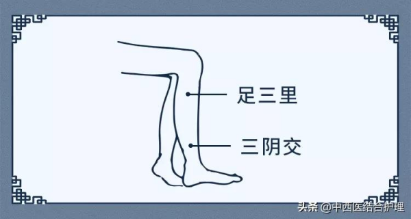 「護腎科普」護腎延衰，重在醫和養，功在補虛和堵漏