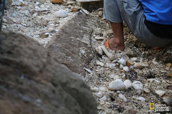 這座“海上的布達拉”,被他們淨化了 這座“海上的布達拉”,被他們淨化了