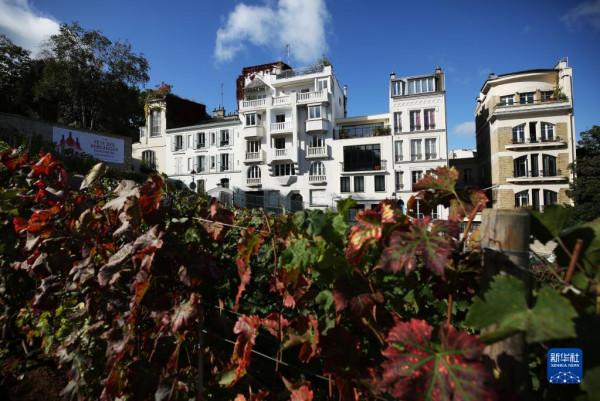 國際熱圖：2021年9月29日-2021年10月11日