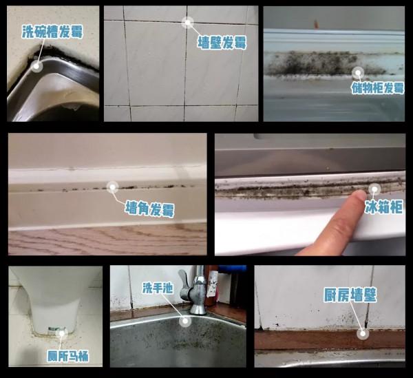 建議大家：房子入住1年以上，這5種家居小用品儘量配齊！不是雞肋